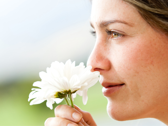 花の香りを嗅ぐ女性の画像