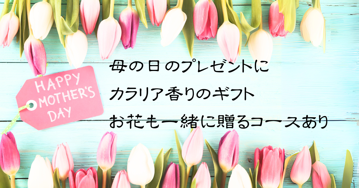 母の日のプレゼントにはカラリア香りのギフト！お花も一緒に贈るコースありのアイキャッチ画像